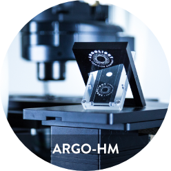 tile-argo-hm